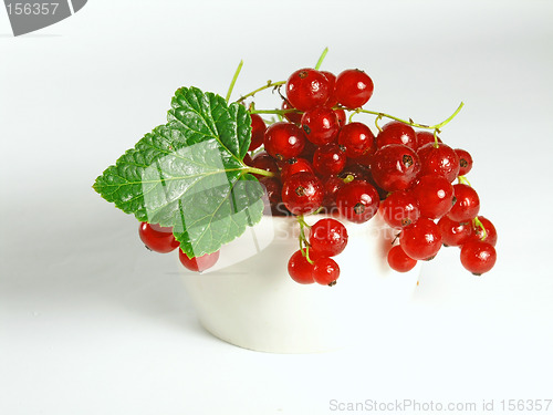 Image of summer fruits: Redcurrant