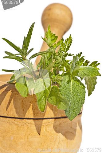 Image of mortar with herbs