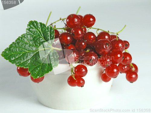 Image of summer fruits: Redcurrant