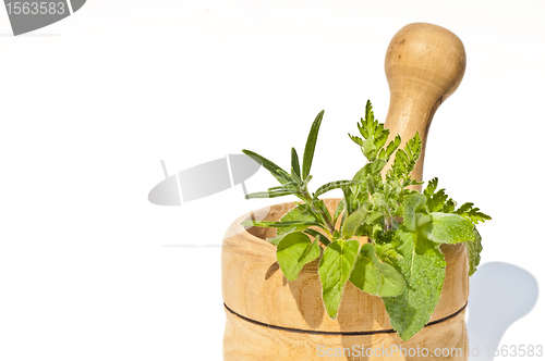 Image of mortar with herbs