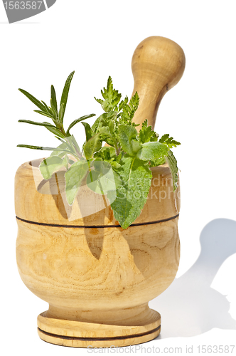 Image of mortar with herbs