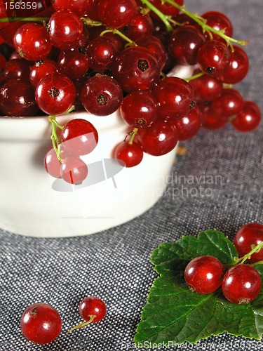 Image of summer fruits: Redcurrant