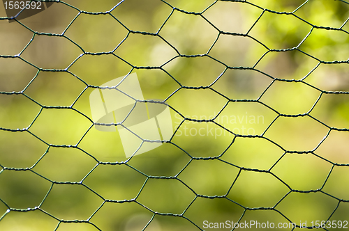 Image of fence with green background