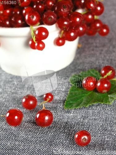 Image of summer fruits: Redcurrant