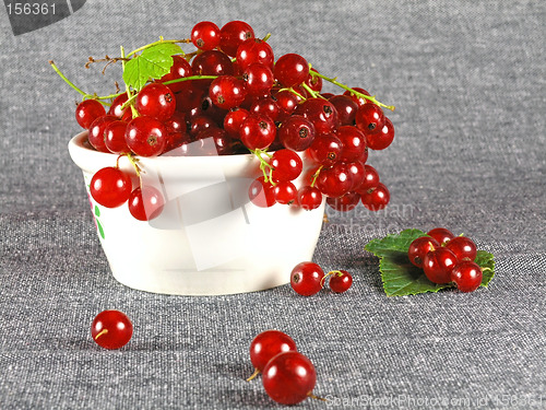 Image of summer fruits: Redcurrant