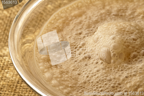 Image of yeast