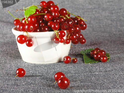 Image of summer fruits: Redcurrant