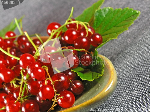 Image of summer fruits: Redcurrant