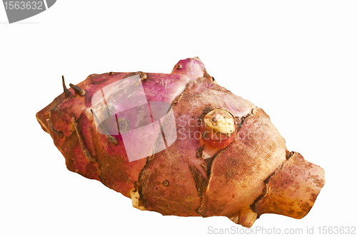 Image of Jerusalem artichoke