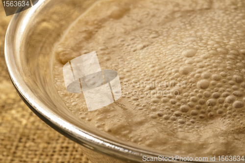 Image of yeast