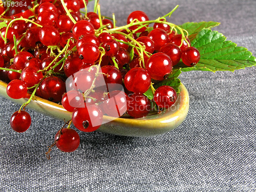 Image of summer fruits: Redcurrant