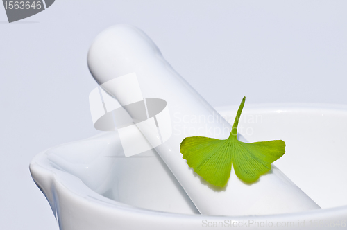 Image of mortar with Ginkgo leaf