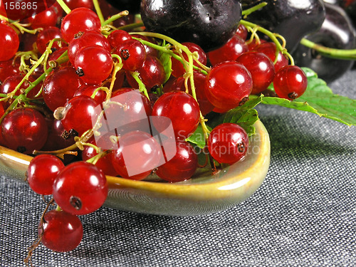 Image of summer fruits: Redcurrant