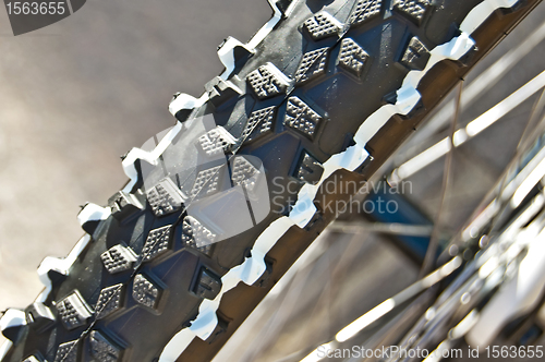 Image of bicycle tyre