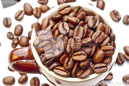 Image of coffee beans in cup