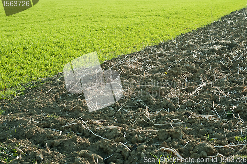 Image of acre and green grass