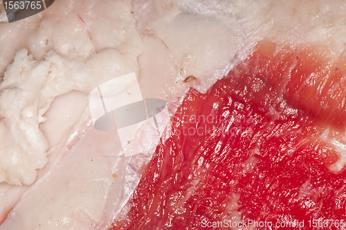 Image of beef fat
