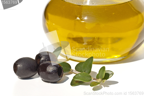 Image of olive oil