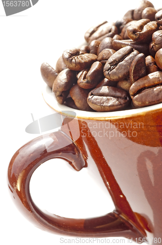 Image of coffee beans in cup
