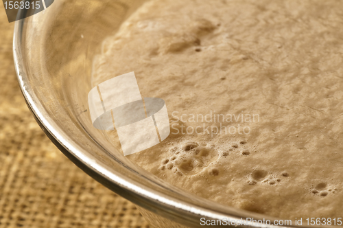 Image of yeast