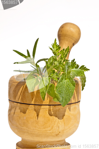 Image of mortar with herbs