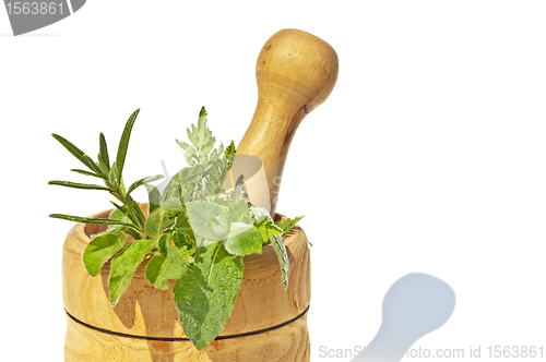 Image of mortar with herbs