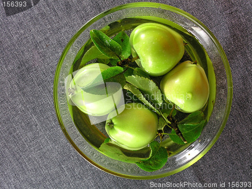 Image of summertime fruits: apples