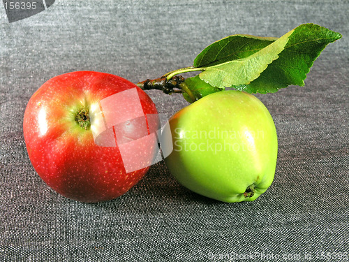 Image of summertime fruits: apples