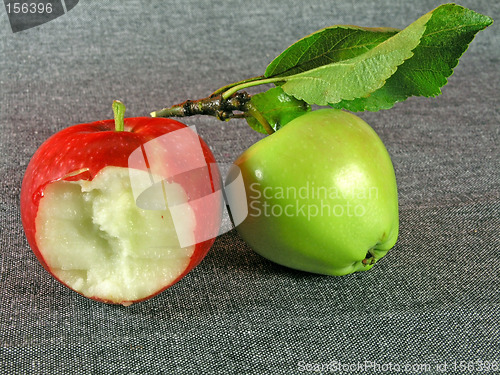 Image of summertime fruits: apples