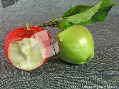 Image of summertime fruits: apples