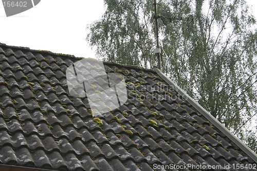 Image of Roof with moss