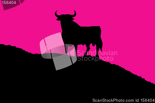 Image of bull