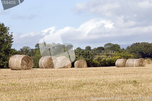 Image of Hay bales