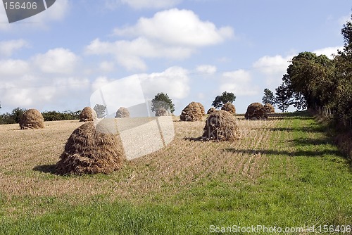 Image of hay stacks