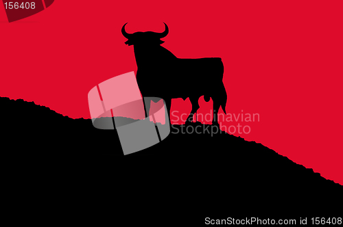 Image of bull