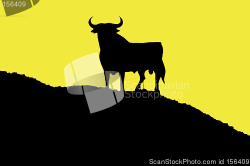 Image of bull
