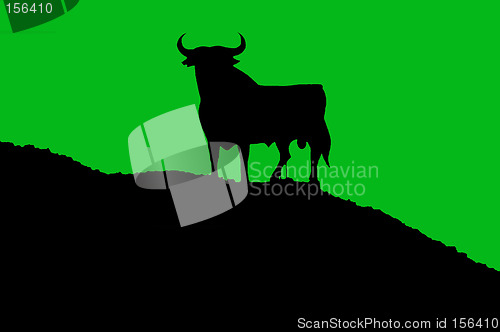 Image of bull