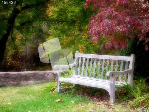 Image of Bench in a park