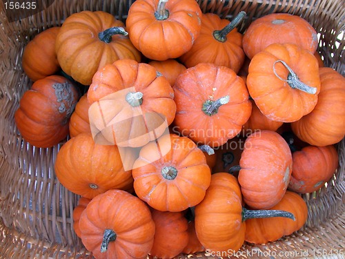 Image of Pumpkins