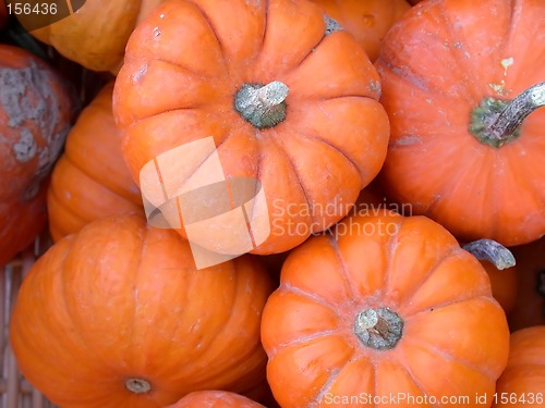 Image of Pumpkins