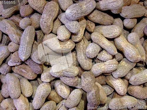 Image of Peanuts in a nut shell