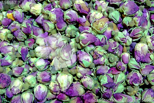 Image of Rose tea pile