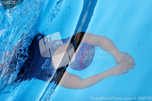 Image of Woman diving