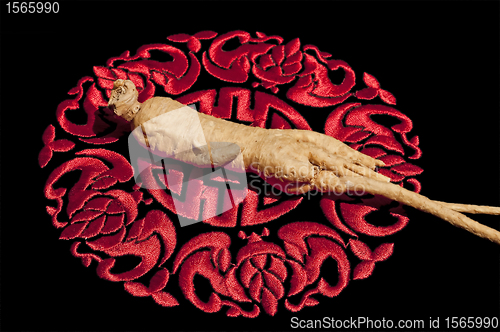 Image of ginseng