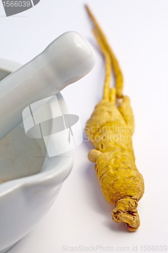 Image of ginseng