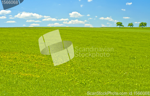 Image of green with blue sky and clouds