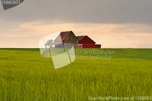 Image of barn in sunset light