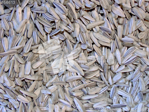 Image of Sunflower seeds pile