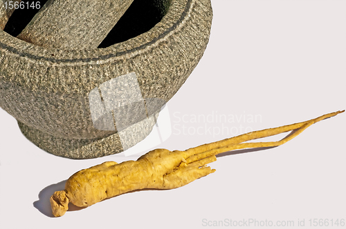 Image of mortar and ginseng