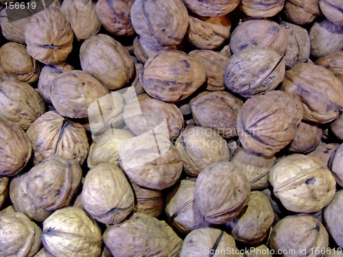 Image of Walnuts in a nut shell